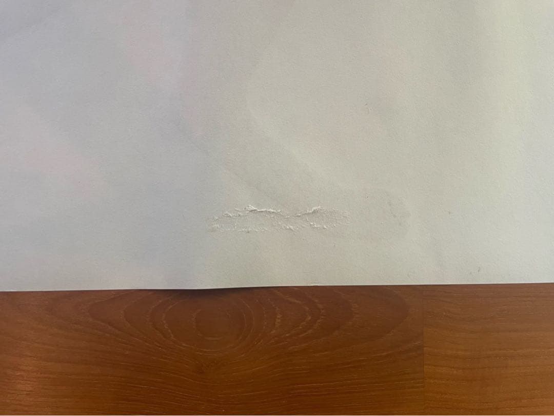 【値下げ中】ダネーゼ ポスターDANESE Quattro la pantera