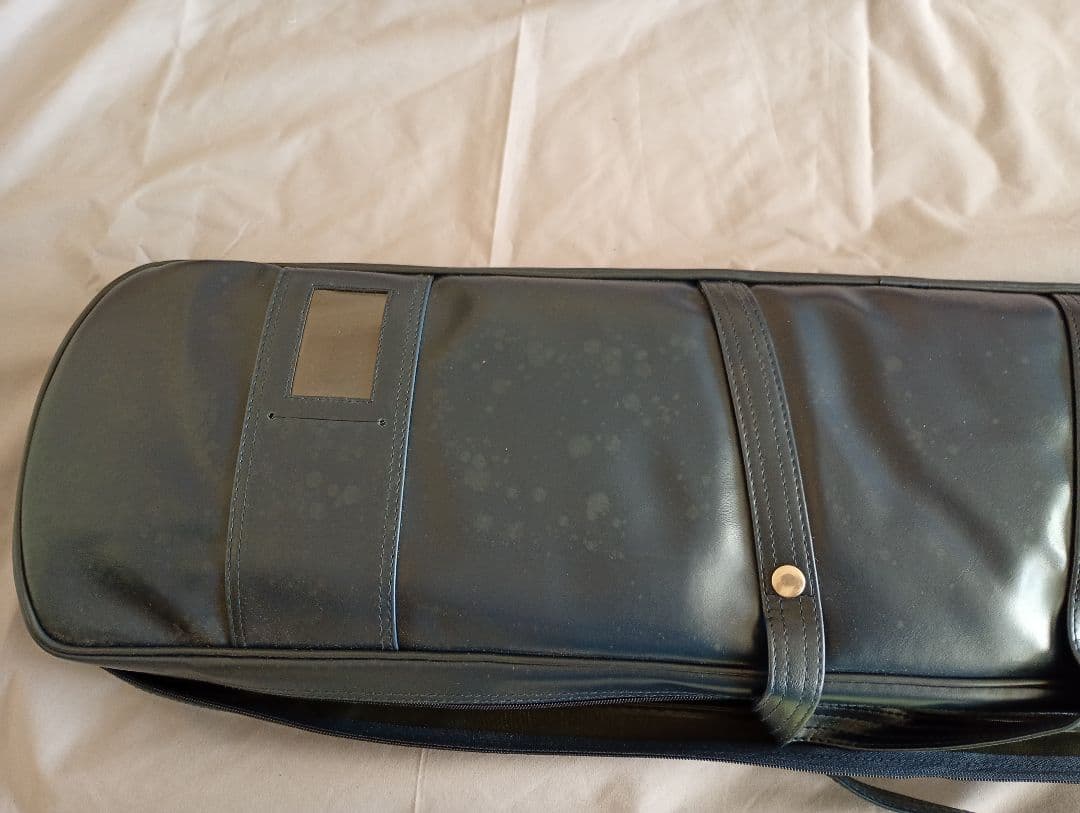 文化筝 ソフトケース付き　新品未使用