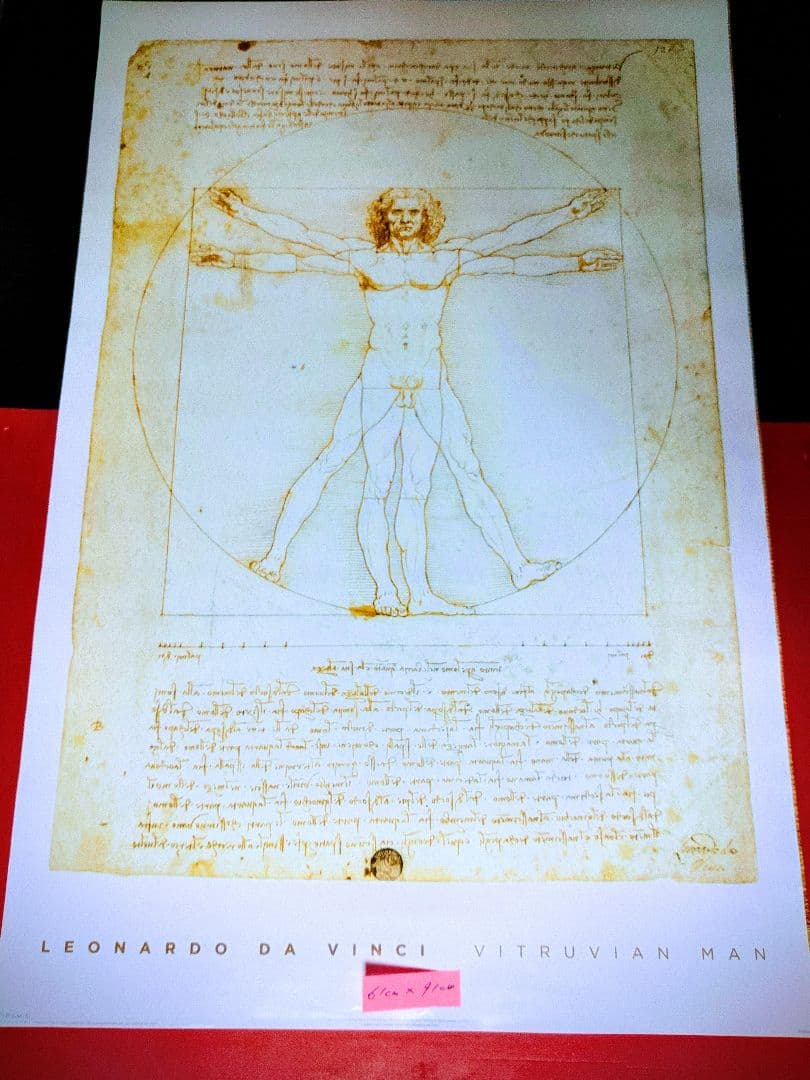 アートポスター　LEONARDO DA VINCI コレクション