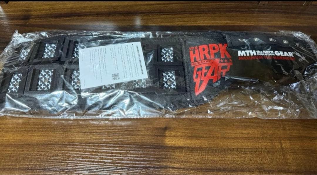 【専用】マキシマムザホルモン エボリューションギア BLACK&RED