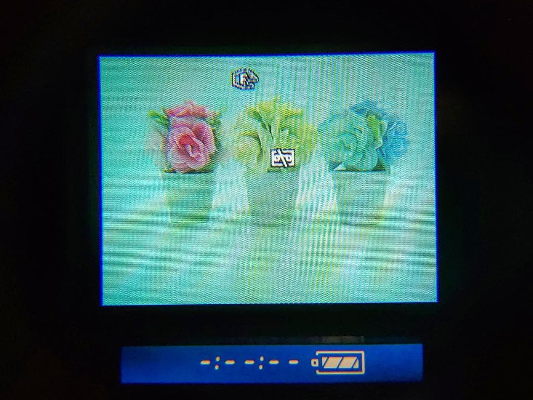 プロ向けモデル！ SONY ビデオカメラ DCR-VX1000