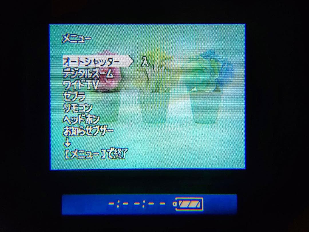 プロ向けモデル！ SONY ビデオカメラ DCR-VX1000