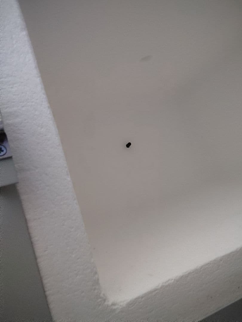 【早いもの勝ち❥】ペインターズキルン　日本ヴォーグ社　ポーセラーツ　焼成窯