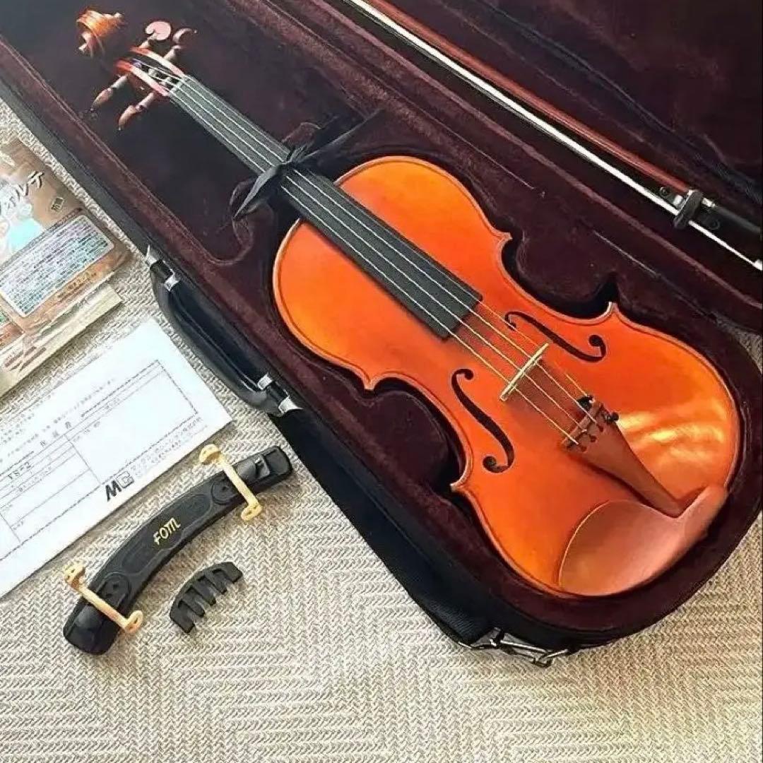 カルロジョルダーノ VS2 4/4バイオリン　ケース　肩当て　ミュート付き