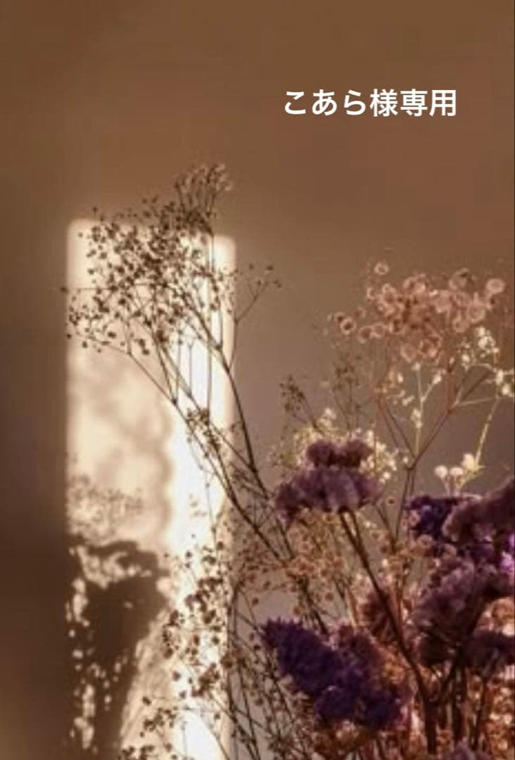 こあら　ジーベン90缶セット