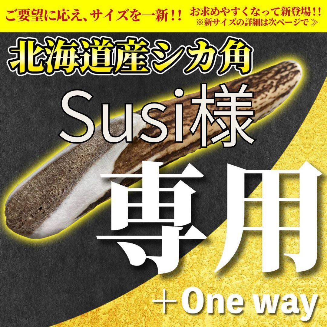 Susi商品　詰め合わせ　№1