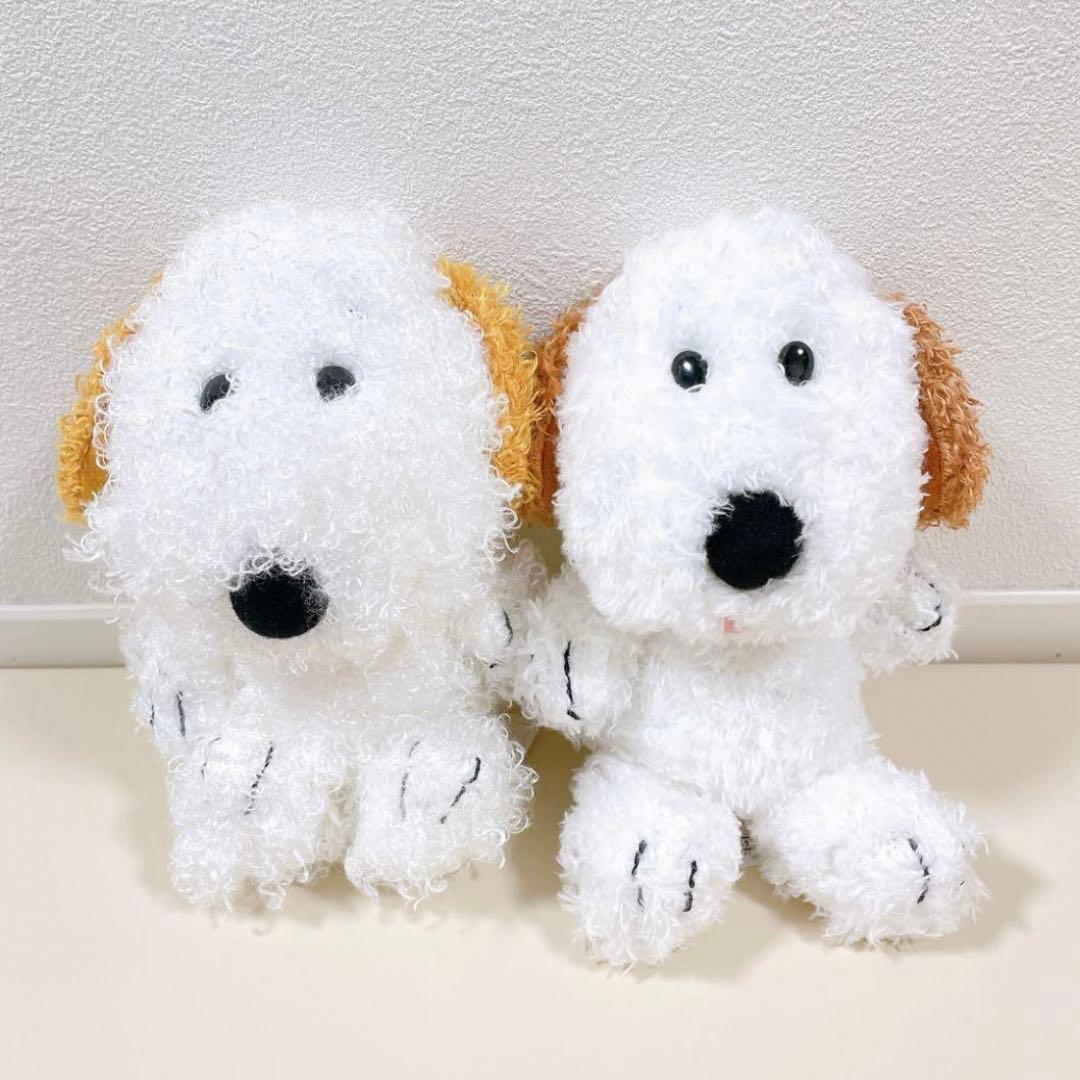 亘　アンディ　ぬいぐるみ