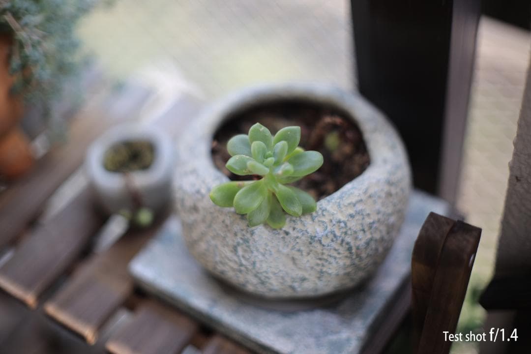 キヤノン Canon A-1 フィルムカメラ FD 50mm f/1.4 SSC