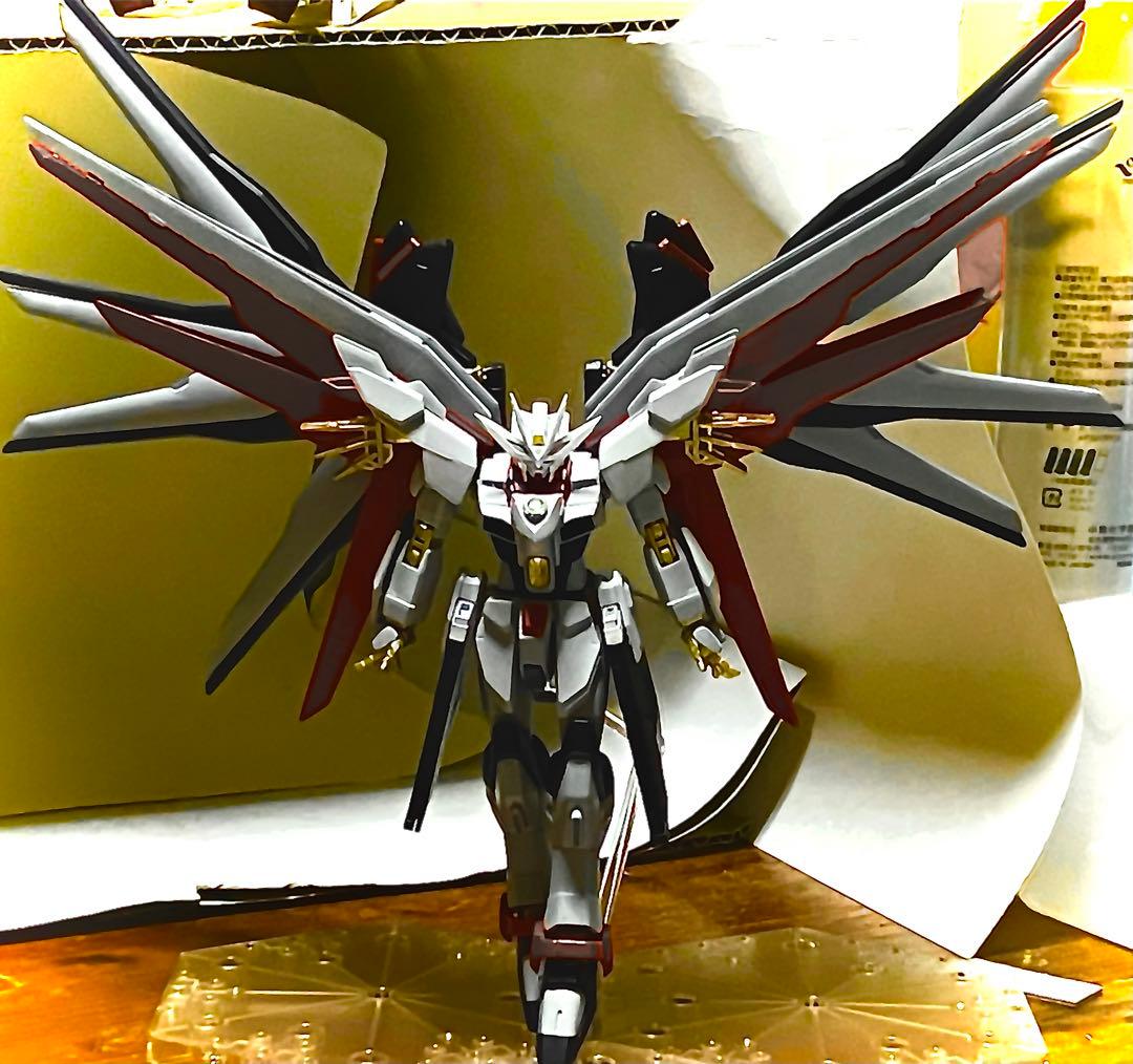 ストライクフリーダム天極（完成・塗装済み）