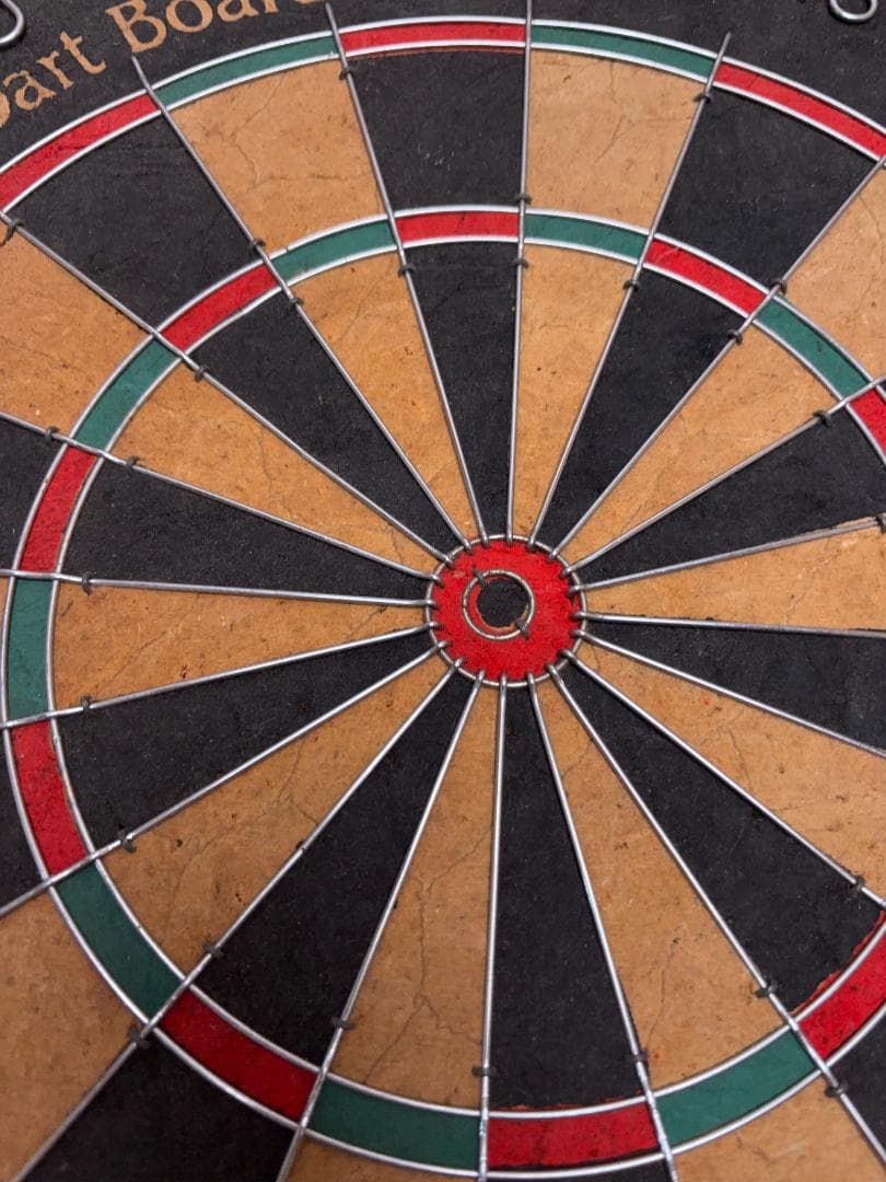 Bristle Dart Board Tournament Use　ブリッスル