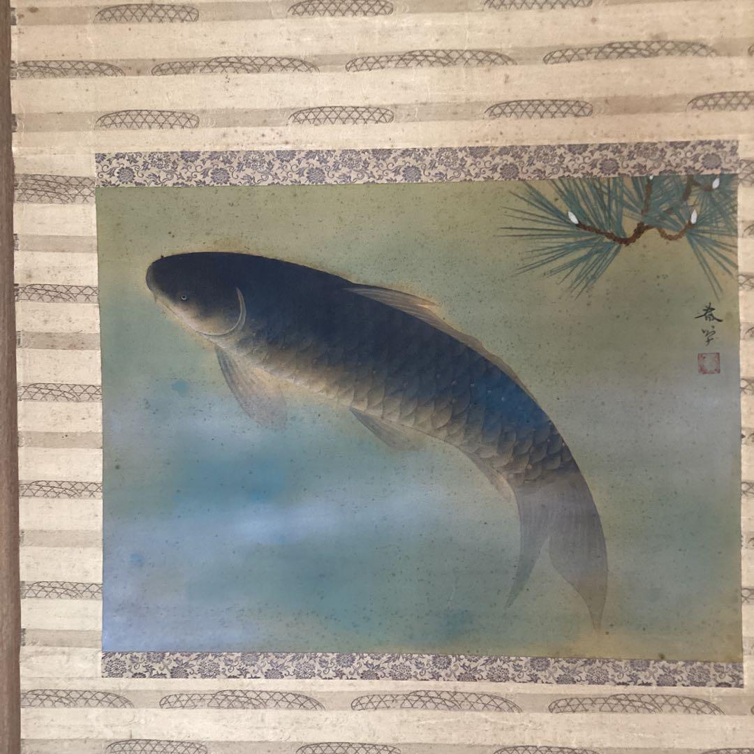 菱田春草　絹本横幅掛軸一幅　【　松　鯉　図　】自題箱　落款有軸先骨　模写　170