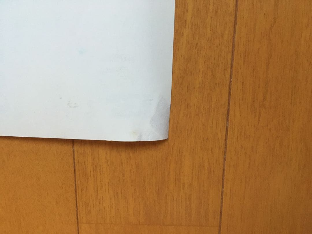 thee michelle gun elephant ポスター 2枚セット