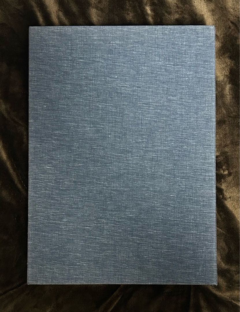 名所江戸百景 一立斎広重 歌川広重 渋井清著 集英社 昭和49年刊行