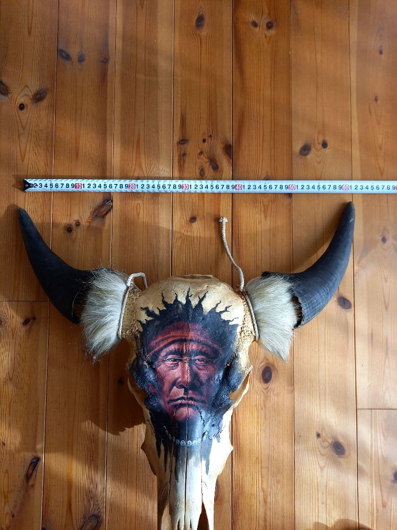 #バッファロースカル　#牛頭骨　#オブジェ　牛骨　2個セット