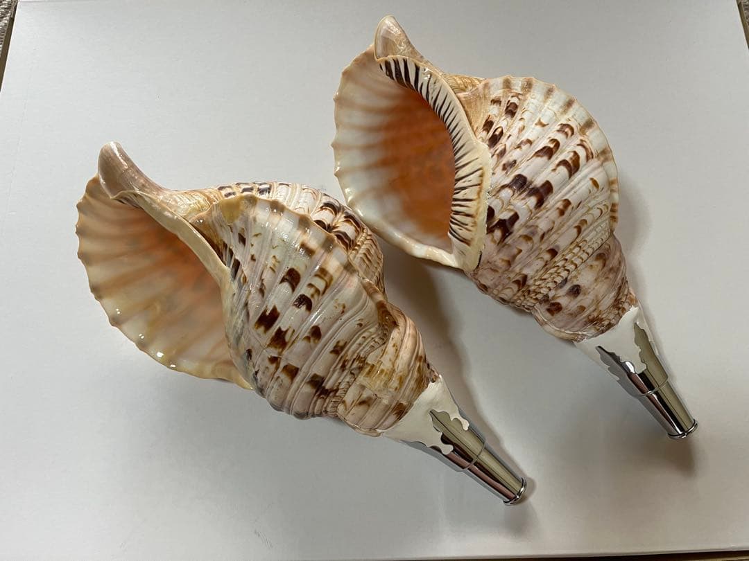 法螺貝2個セット