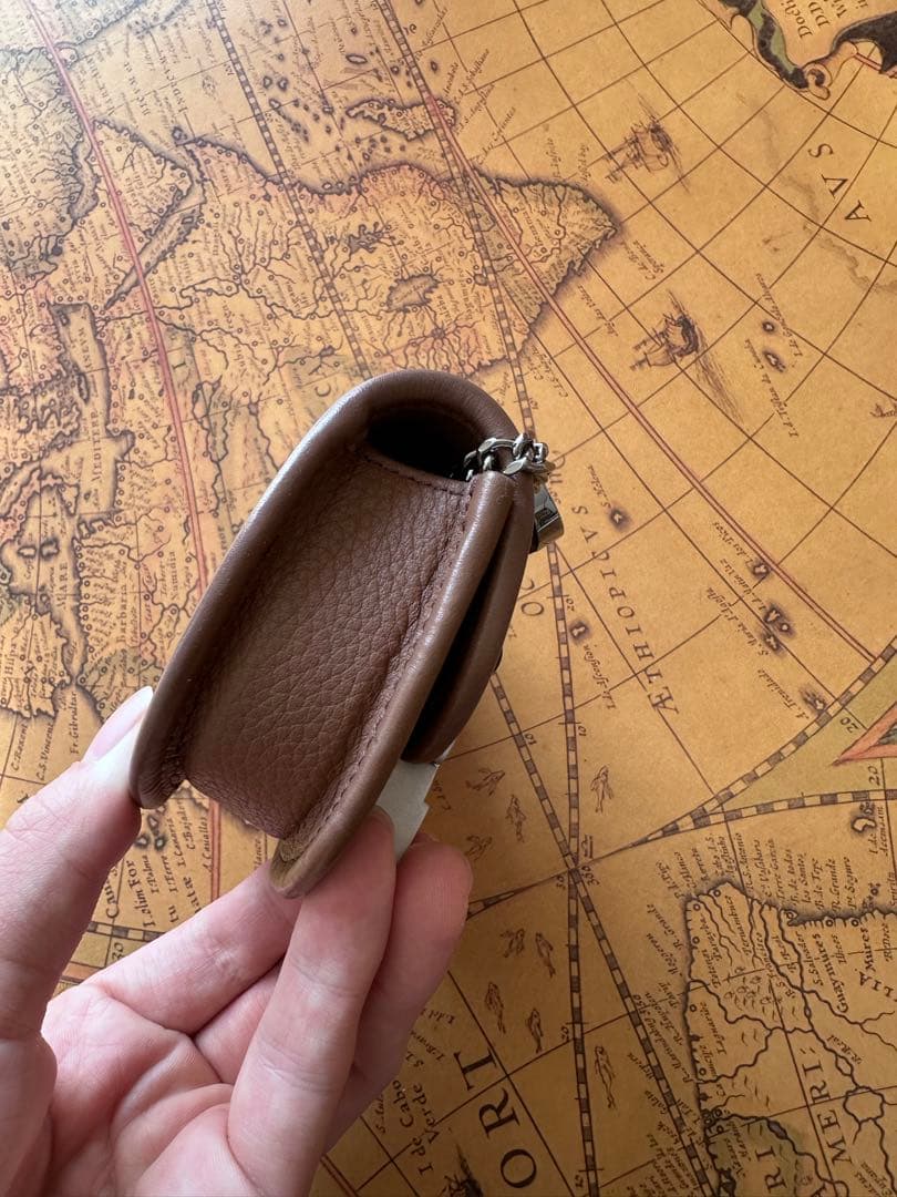 Dior ローラーコースター　air pods pro 小物　ケース