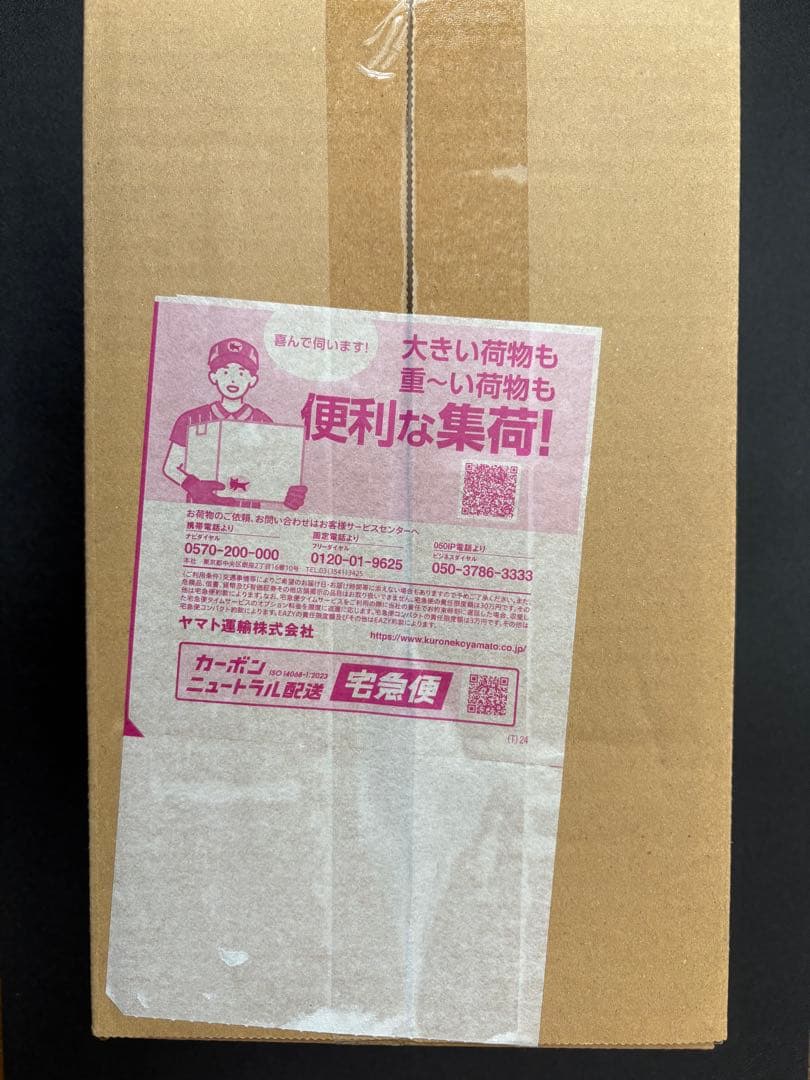 ✨*️様 ポケモンセンター スペシャルBOX トウホク