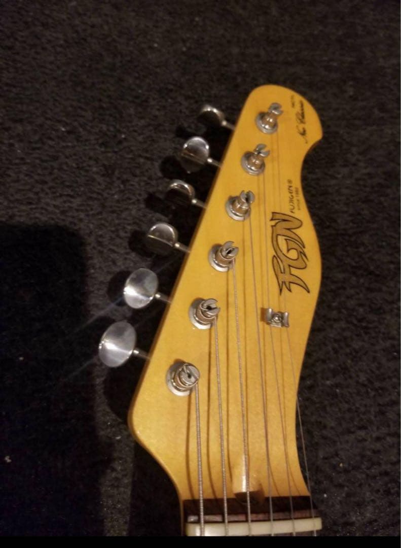 FUJIGEN テレキャスター