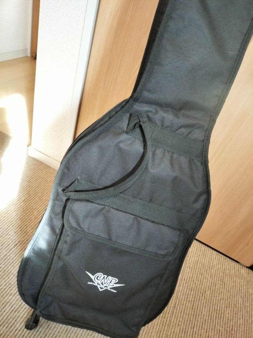 Bacchus GLOBAL Series BTL-650 テレキャスター