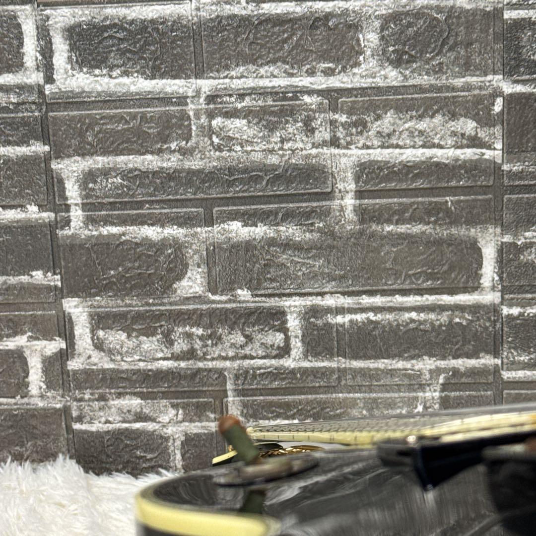 EDWARDS レスポールカスタム セイモアダンカン エボニー指板 ブラック