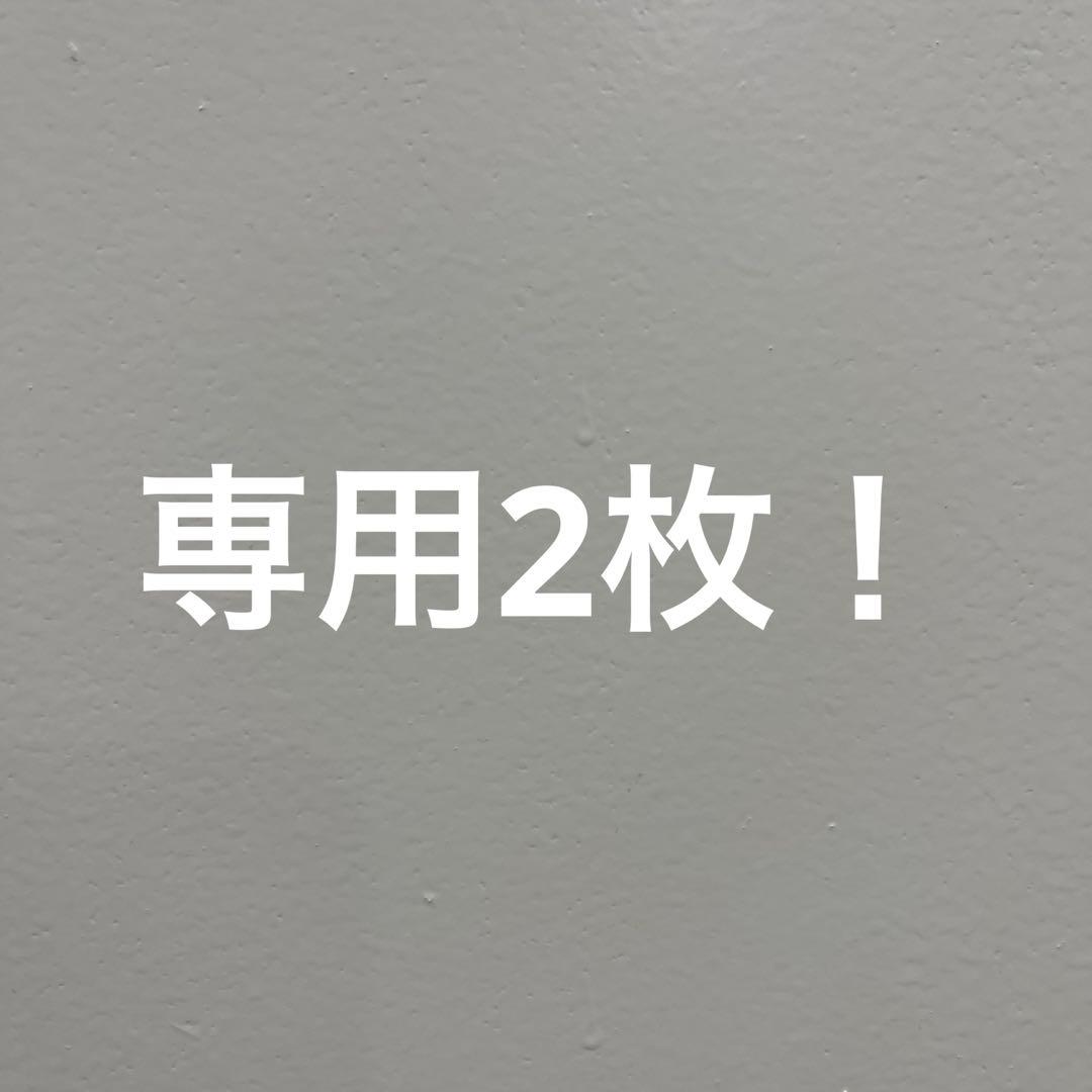 専用！2枚セット