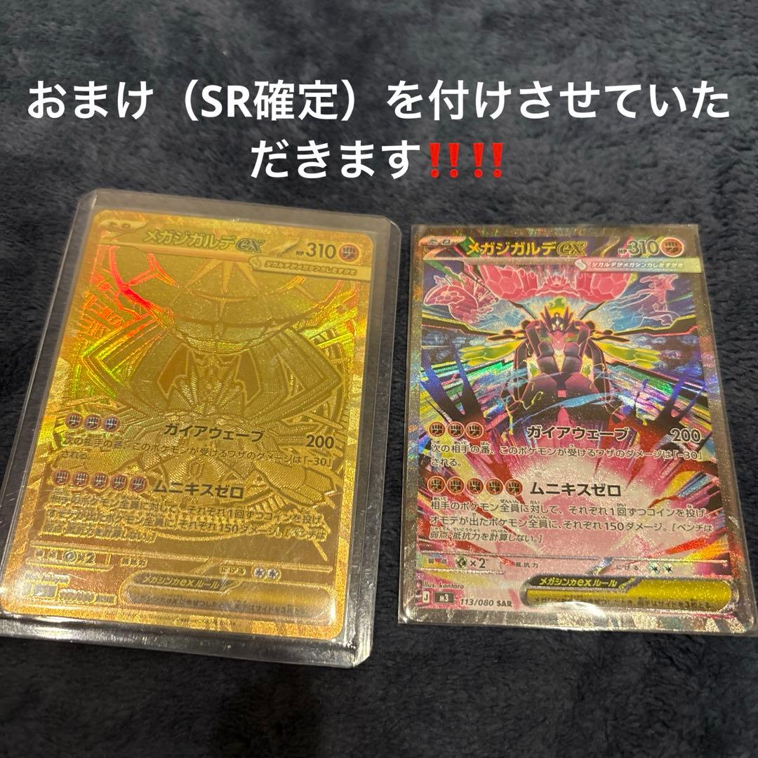 『美品』メガジガルデex mur sar