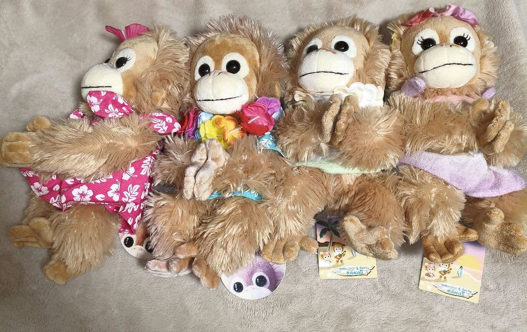 Baby Coco&Natsu ベイビーココ＆ナッツ　タグ有り　ハワイ