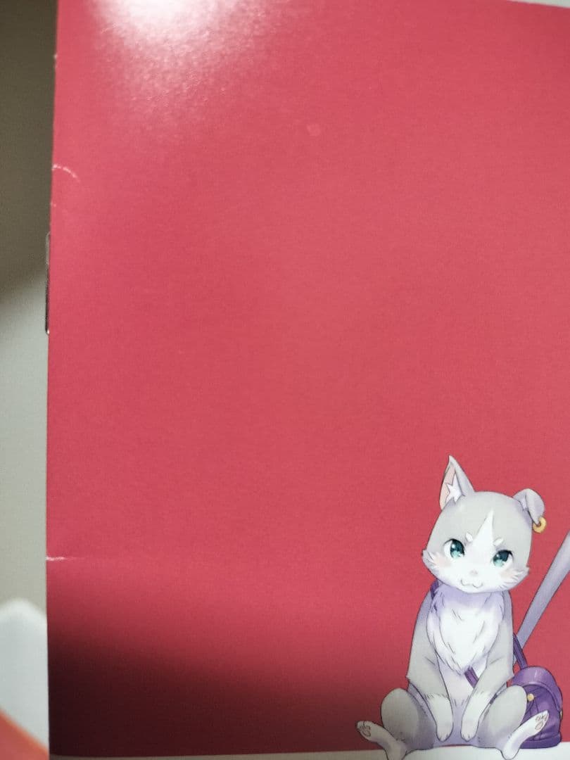 Re:ゼロから始める異世界生活 店舗特典小冊子+リーフレット（17冊セット）