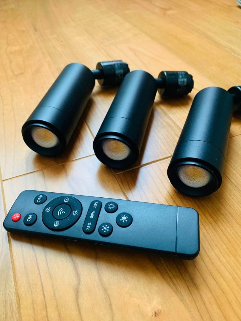 【リモコン付き】エジソンスマート ダクトレール用スポットライト ブラック