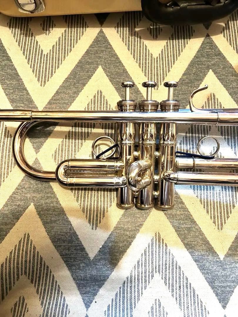 今日限定最終値下げ！YAMAHA Xeno YTR8335 RG