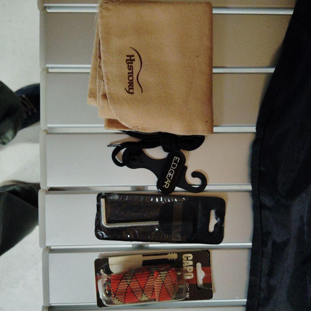 Vanguard アコースティックギター VFG-01 RDS