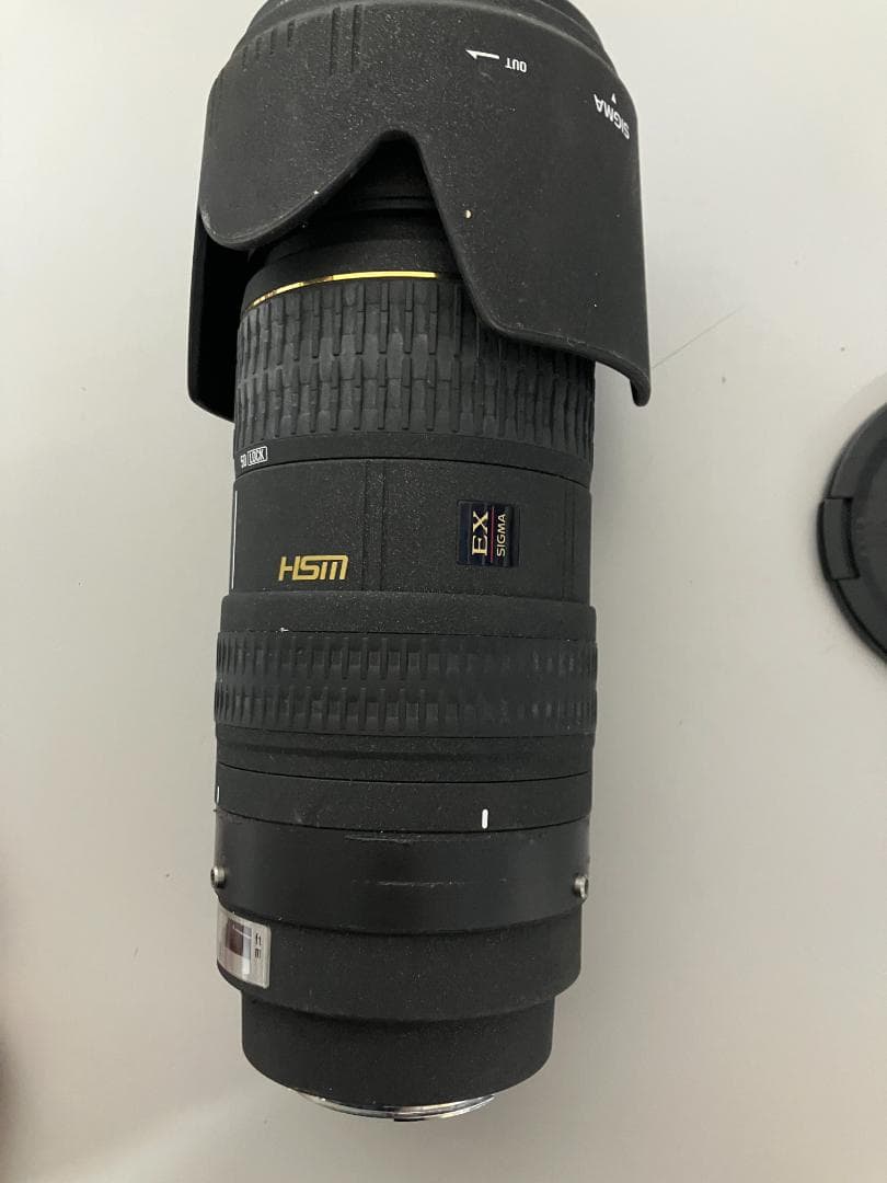 SIGMA APO 50-500mm F4-6.3 EX SONY用