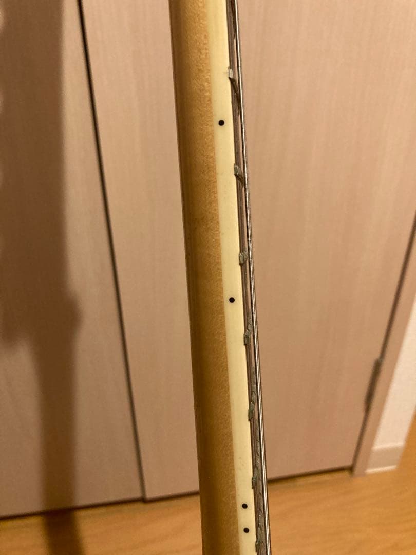 エピフォンエレキギター　フロイドローズ　ハードケース付き