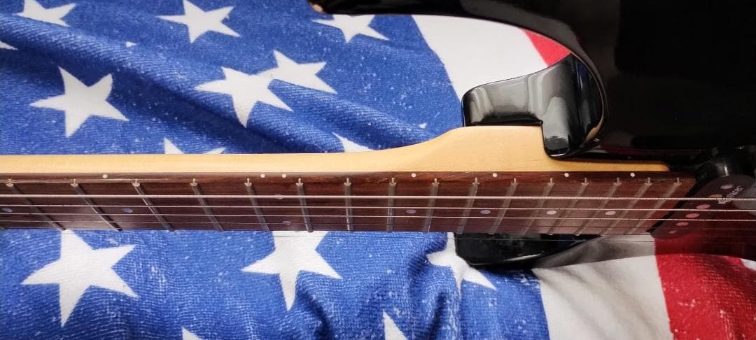 フェルナンデス　 サスティナー付き レフティ仕様