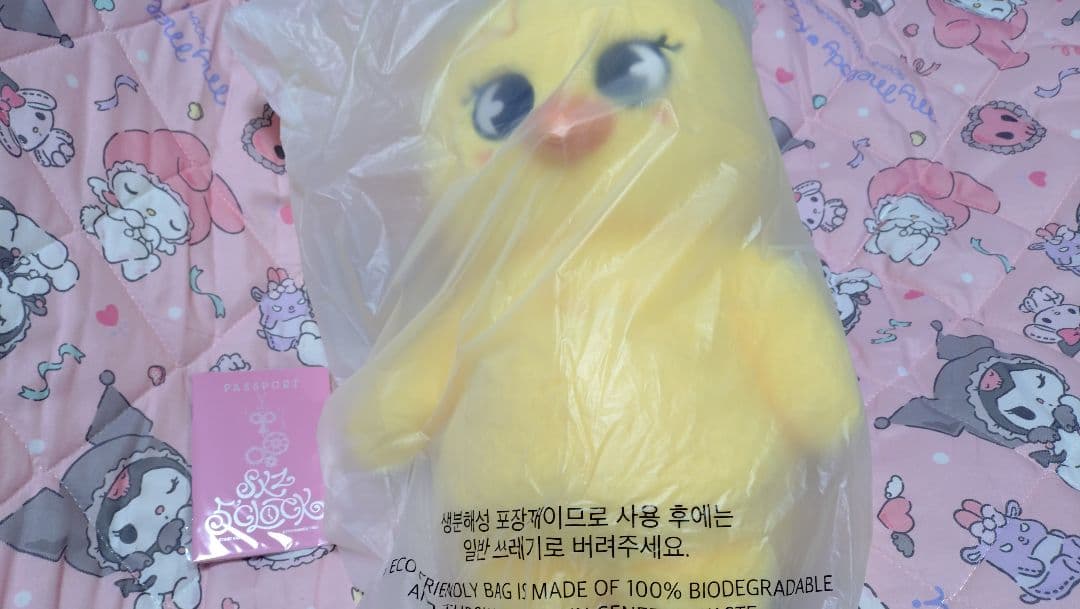 StrayKids skzoo PLUSH TEDDYBEAR テディ