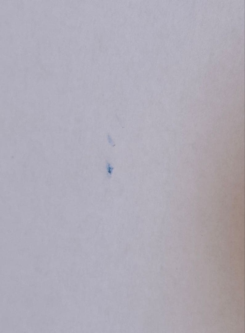 エルメス　大型空箱　ショッパー付き　ギフトボックス