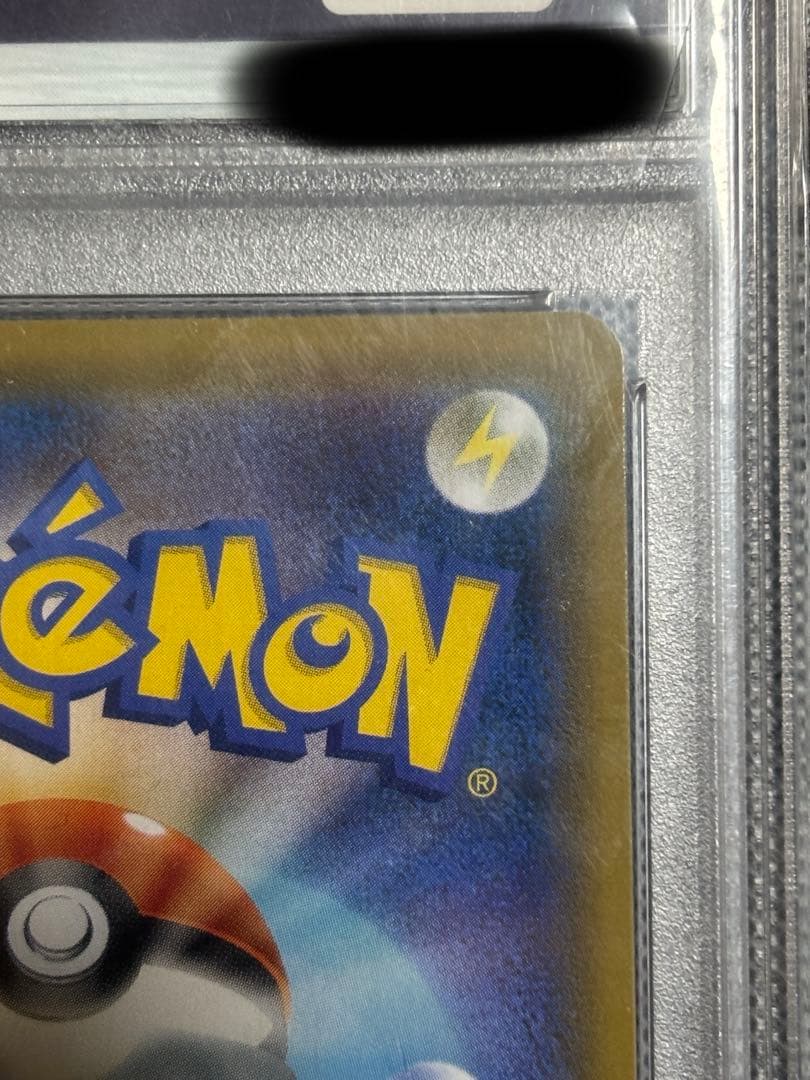 エリカのおもてなし PSA10