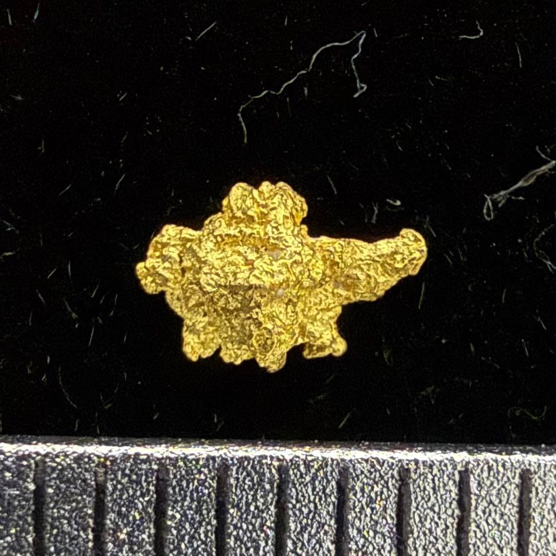 砂金 特大 天然物 【アラスカ産】#116鑑定済 0.08ｇ高純度