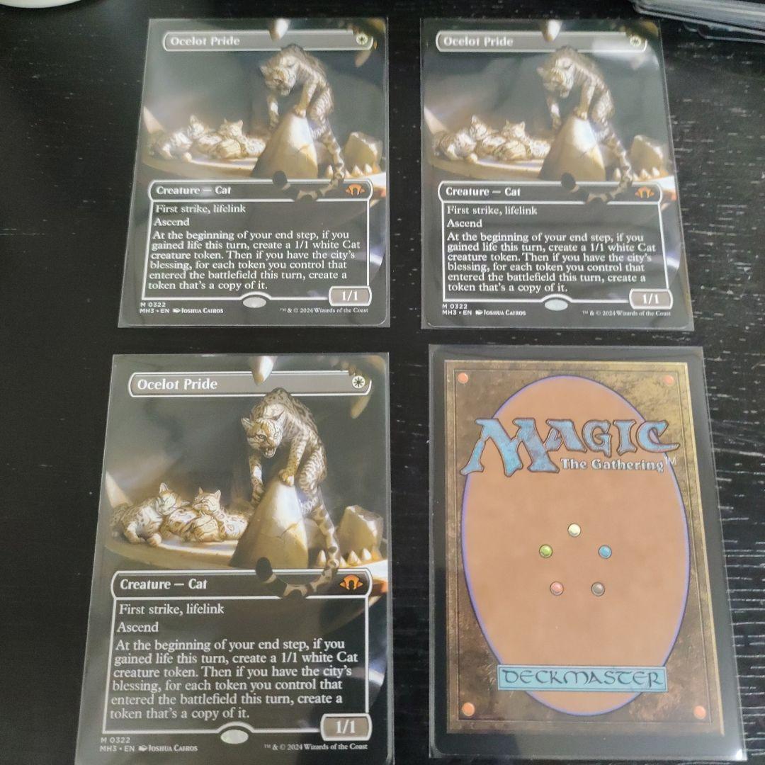 オセロットの群れ　Ocelot Pride 4枚セット