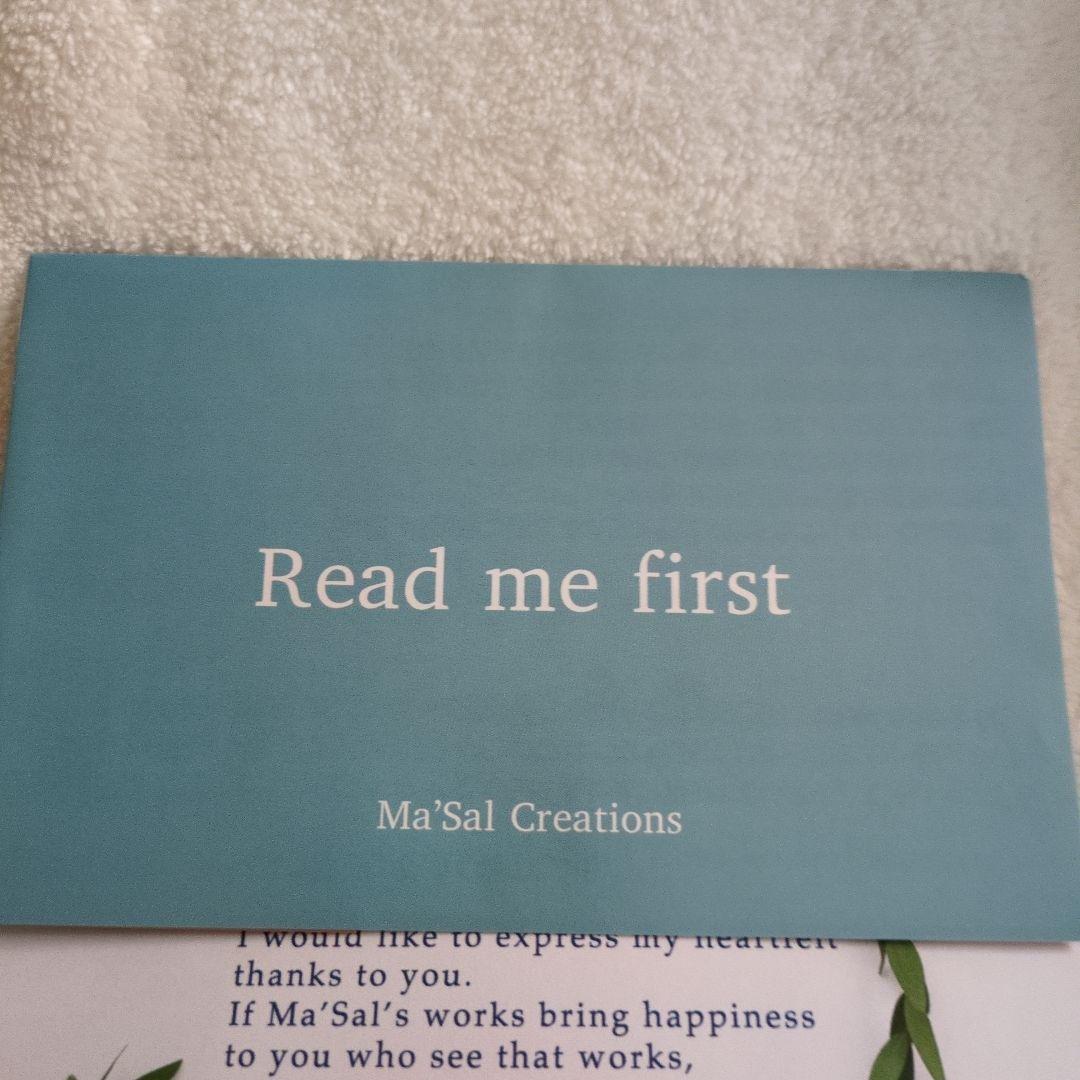 S*n様 作家物 猫 ネコ アートドール エキゾチック