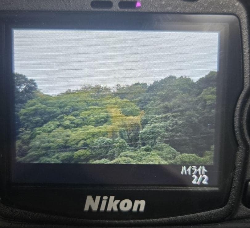 手ぶれ補正✨ Nikon D60 一眼レフ レンズセット 充電器付　デジカメ