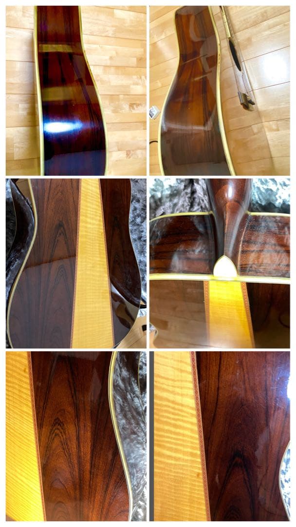 Morris アコースティックギター TF50スプルース単板ハカランダHC付