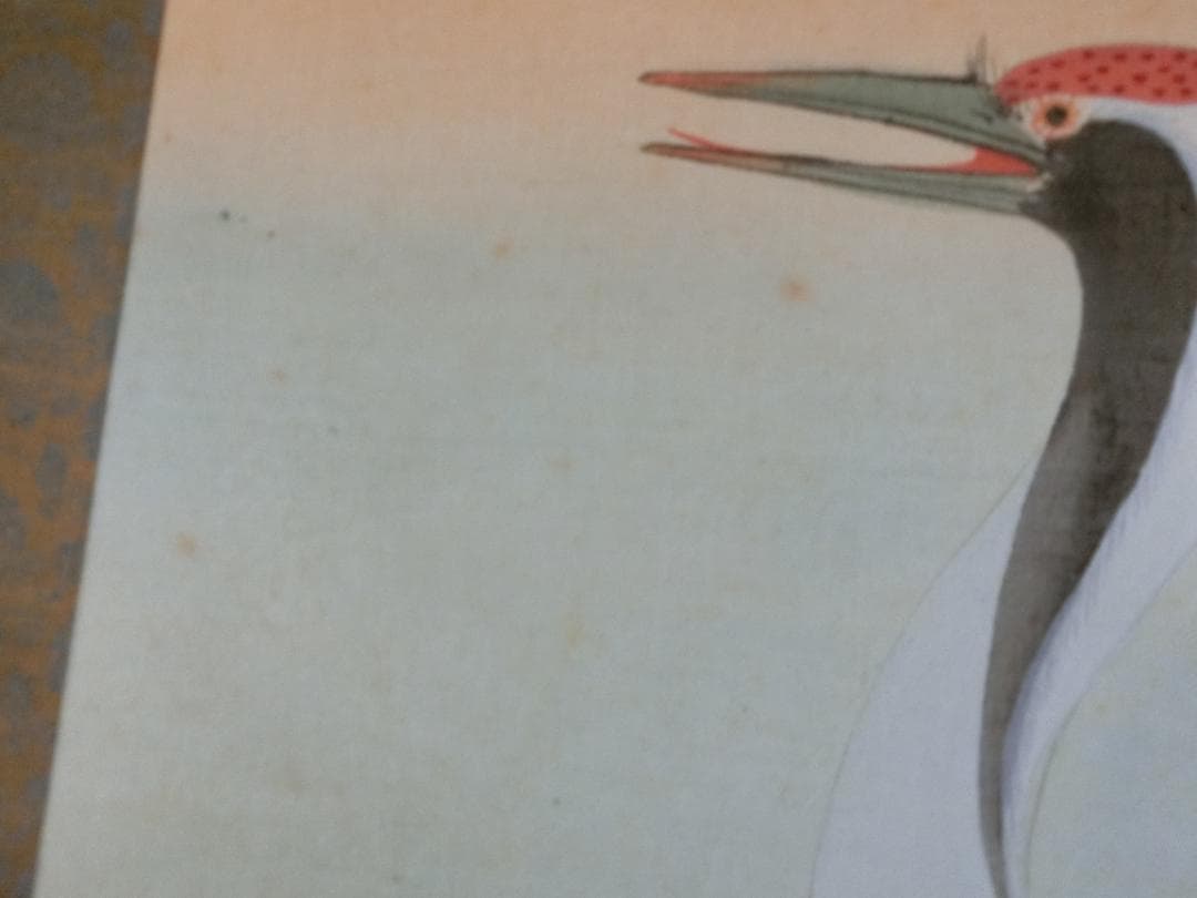桂泉画 鶴 日本画 掛け軸