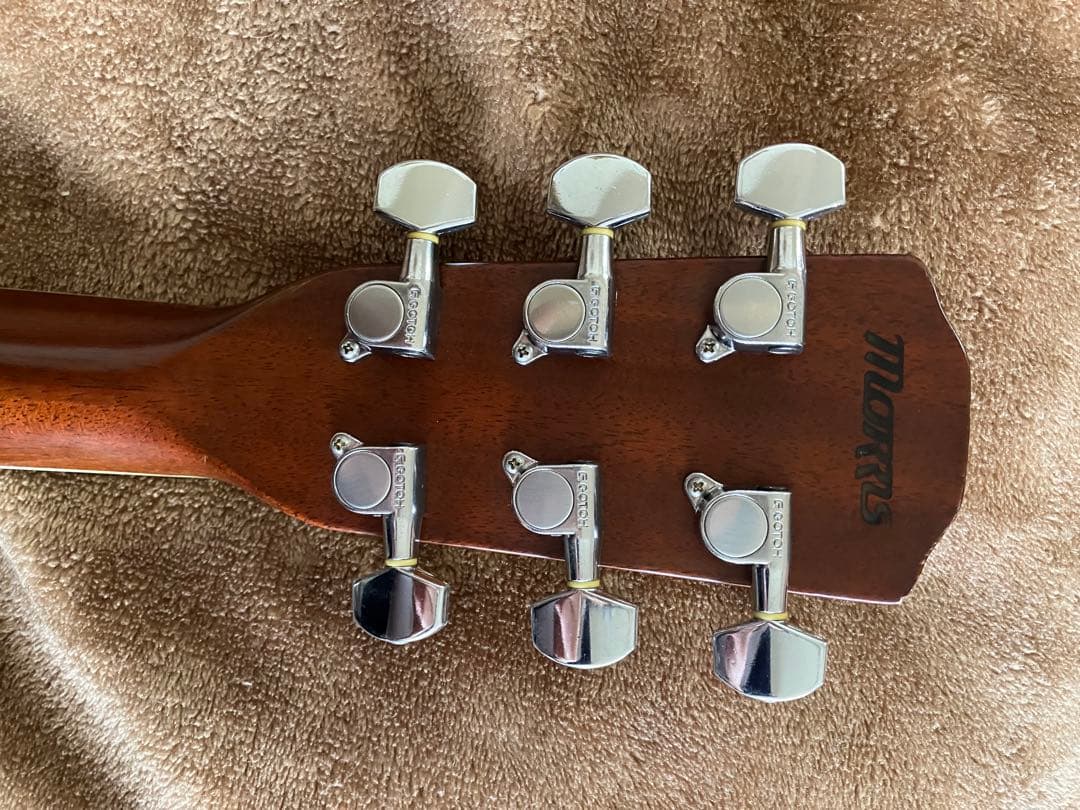 値下げ　MORRIS MF601 スプルース/ハカランダ