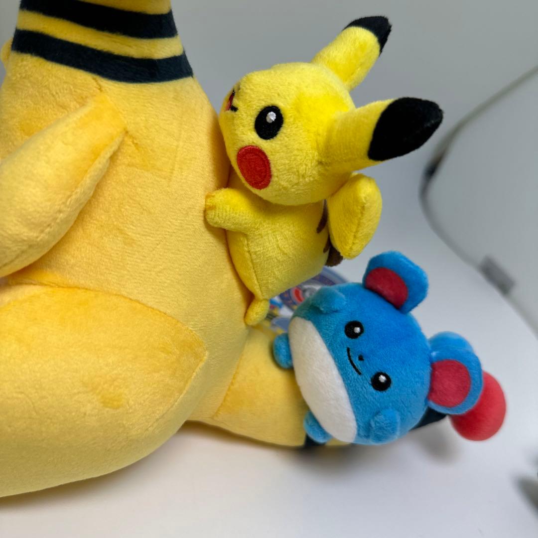 ぬいぐるみ デンリュウ　ピカチュウ　マリル ポケモンセンタートウキョーベイR