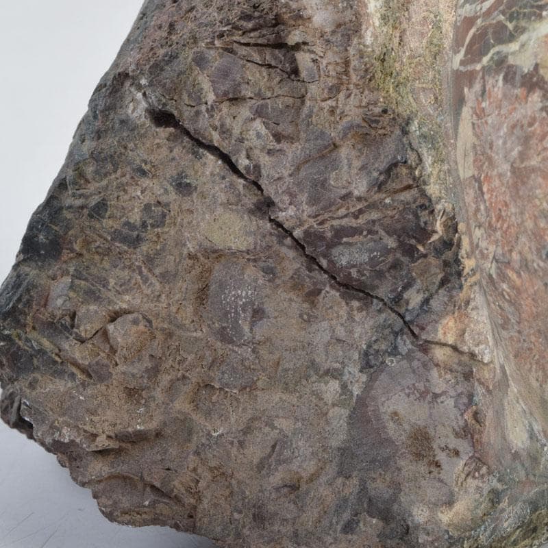 天然石　鑑賞石　菊花石　置物　重さ約1242g　C　8887