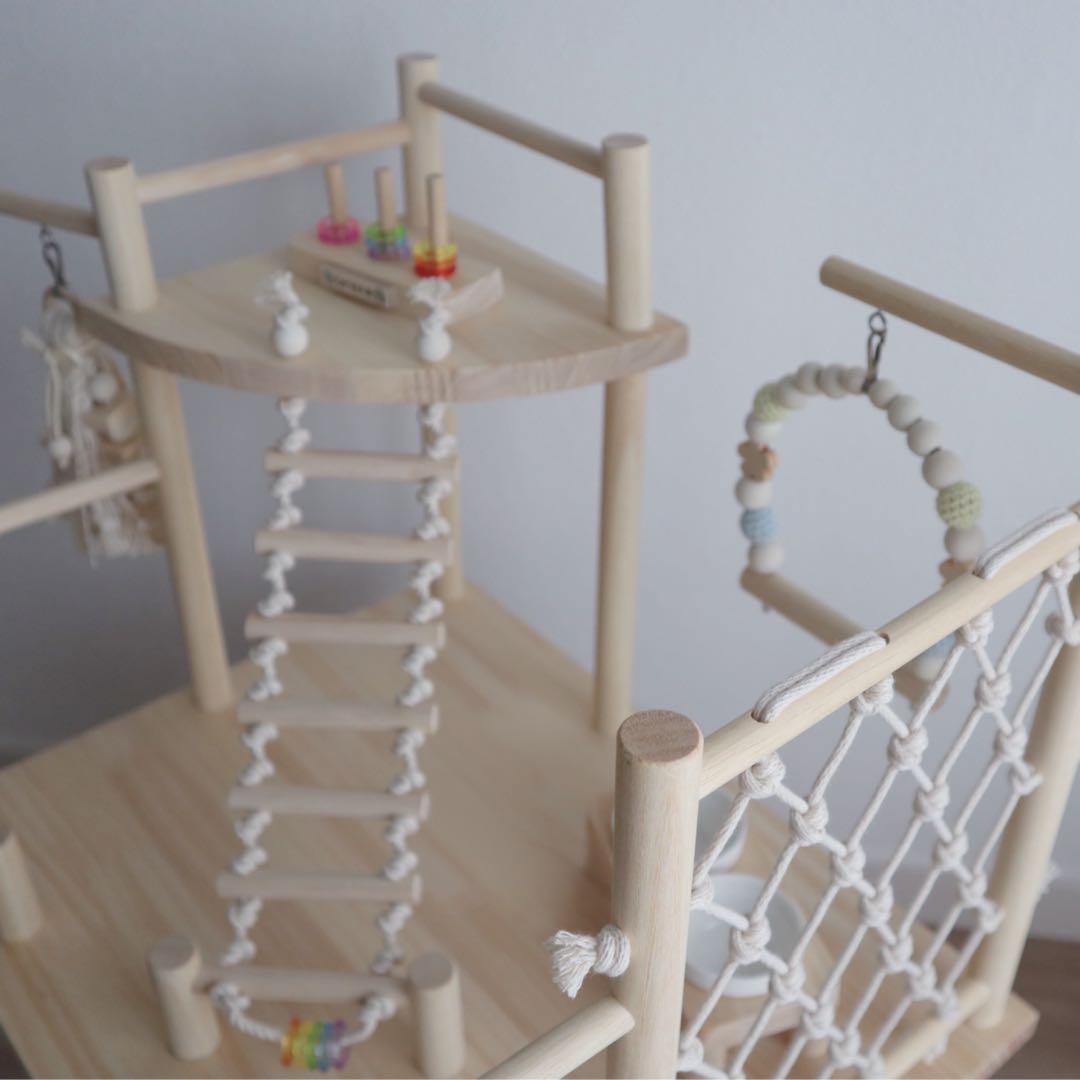 ことりのおおきなあそびば　インコ　バードジム　バードアスレチック　ブランコ