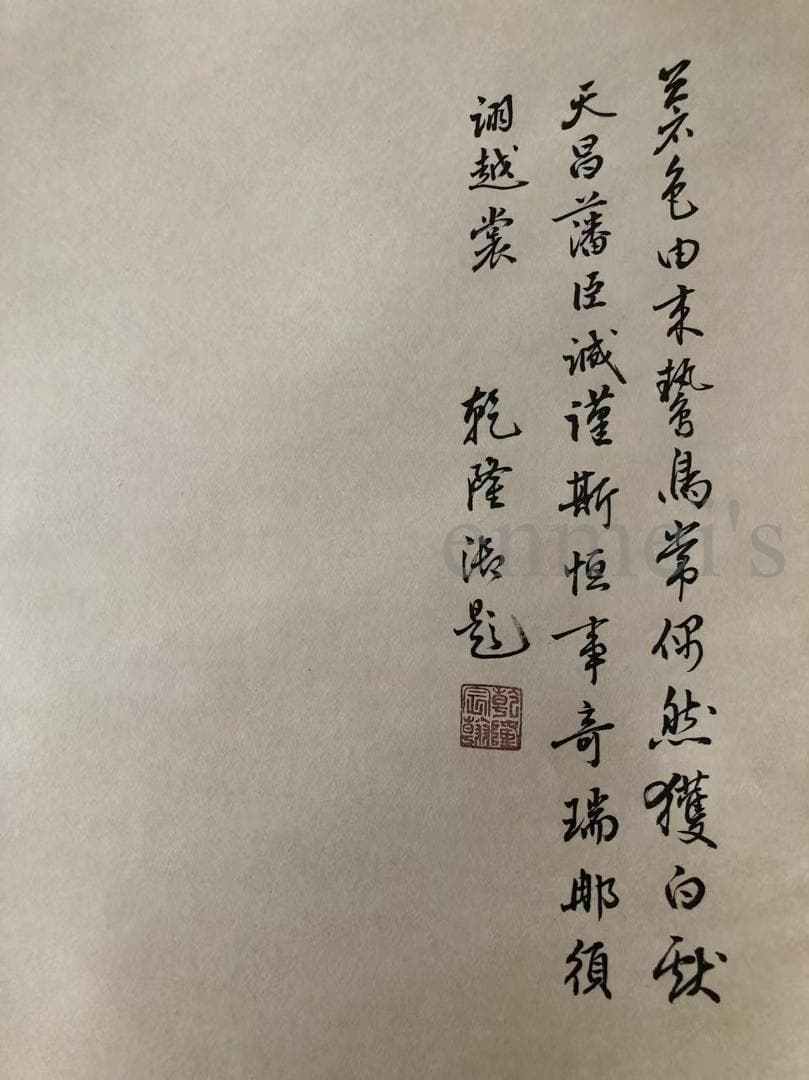 中国古美術・四尺鹰掛軸・宣紙・国画・郎世寧印款印款・書道・肉筆・書画・文房置物