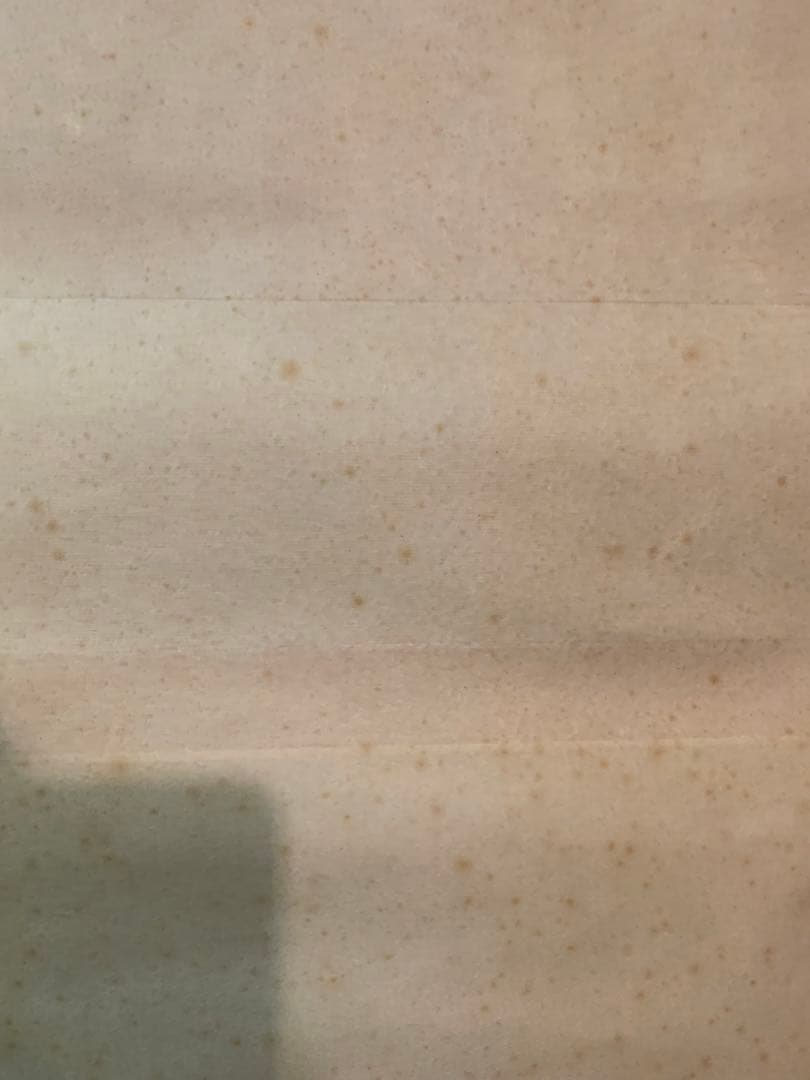 水墨画 山水画 風景画 掛け軸 壁掛 行程