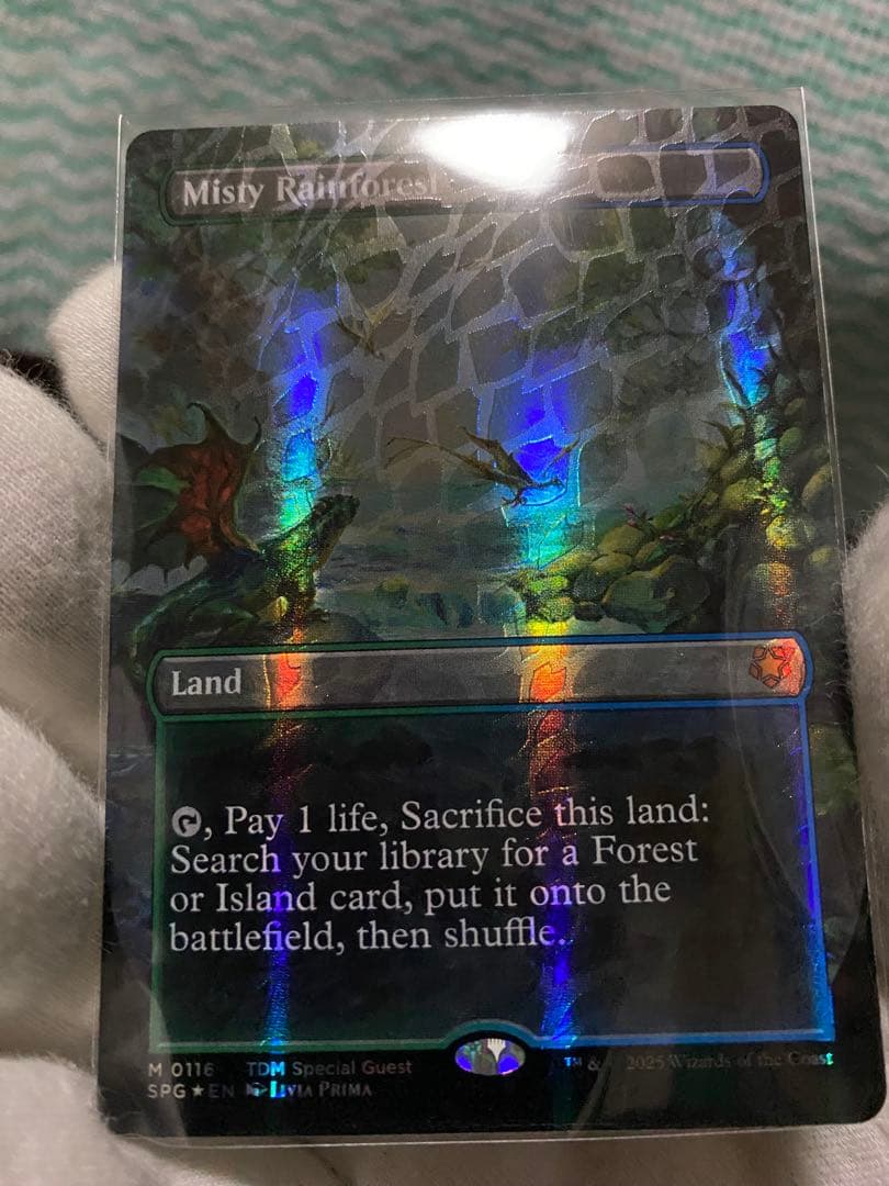 Misty Rainforest 【霧深い雨林】英語版ドラゴンスケイルfoil